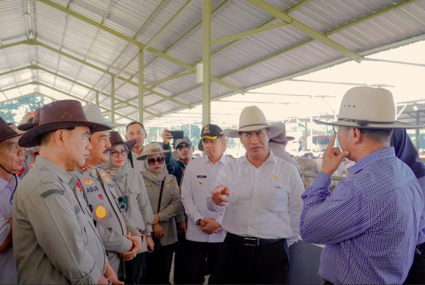 Kementan Pastikan Surplus Hewan Kurban Untuk Idul Adha 2024